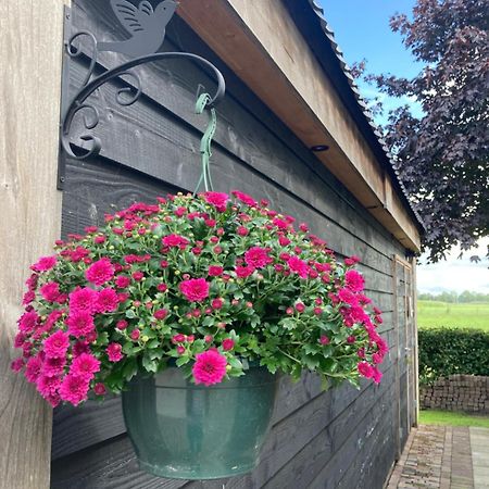 De Barg Villa Vinkenbuurt Exterior photo