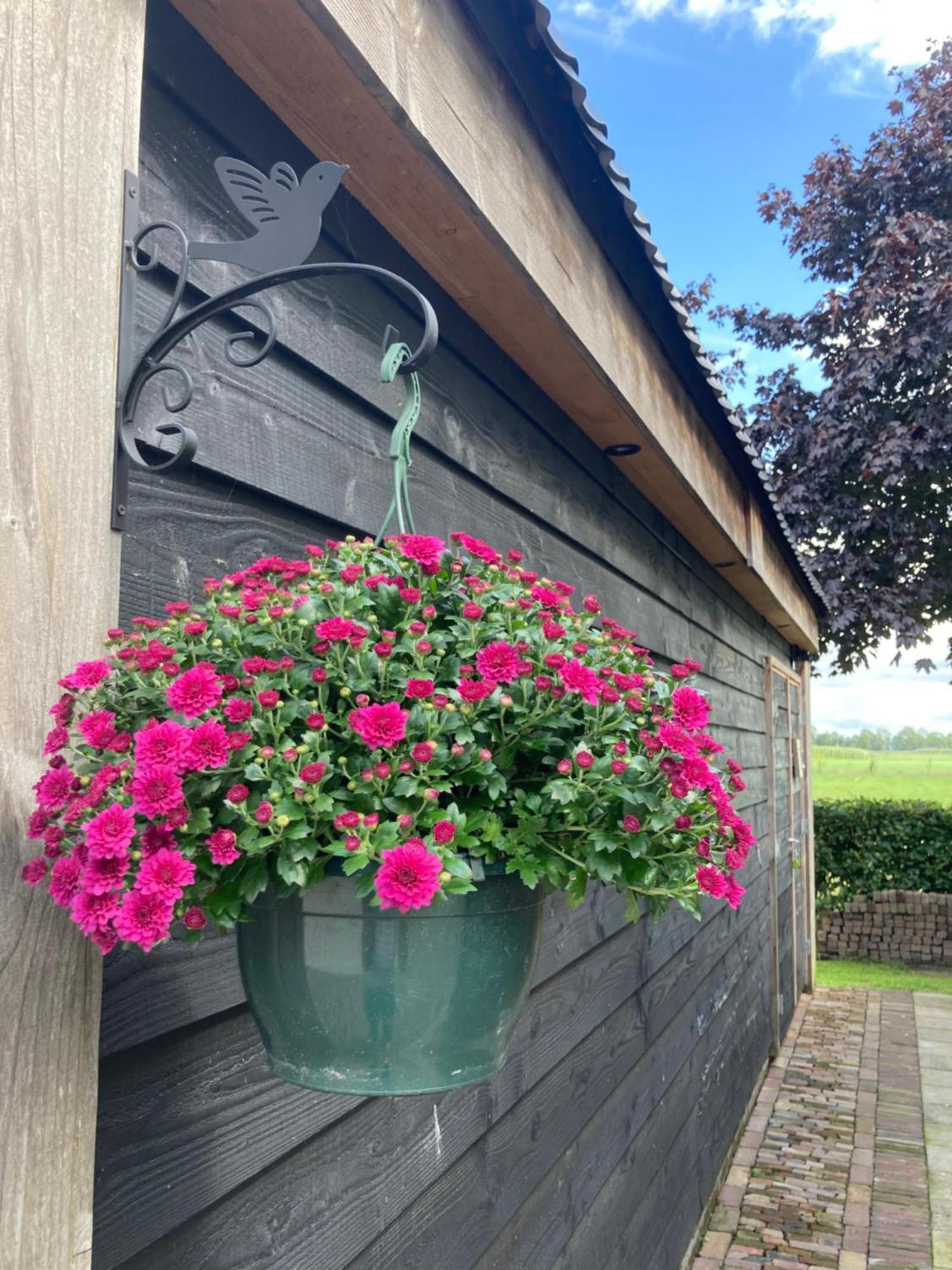 De Barg Villa Vinkenbuurt Exterior photo